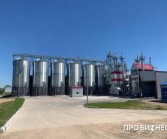 Сельскохозяйственный бизнес (семеноводство) - 3